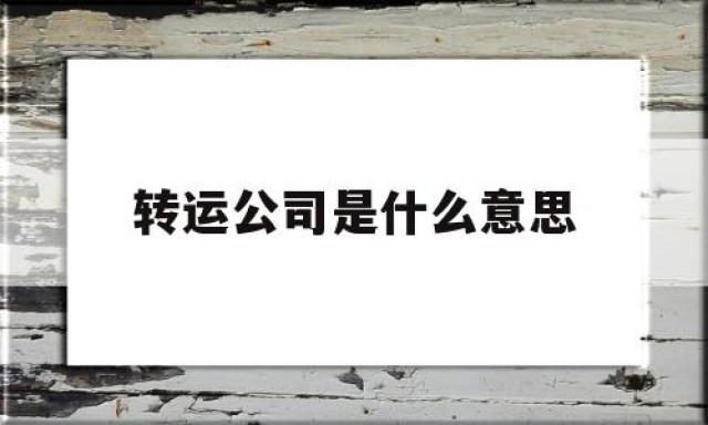 转运公司是什么意思